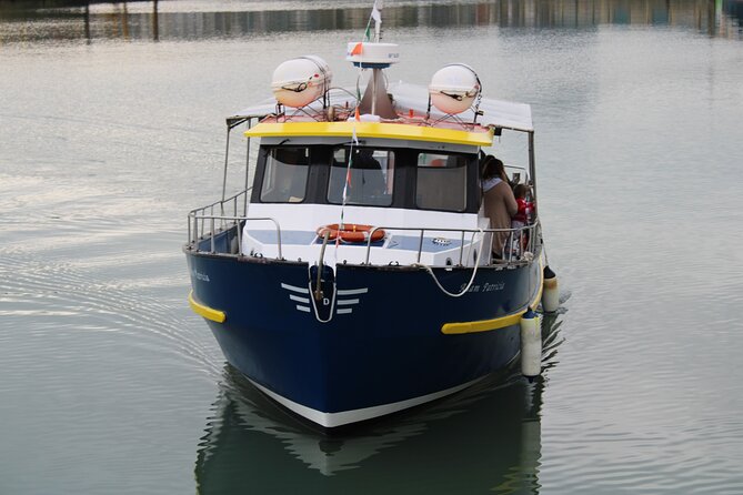 Howth Cliffs and Ireland's Eye Ferry Boat Tour - Howth Cliffs and Ireland’s Eye: the fast way to see it right