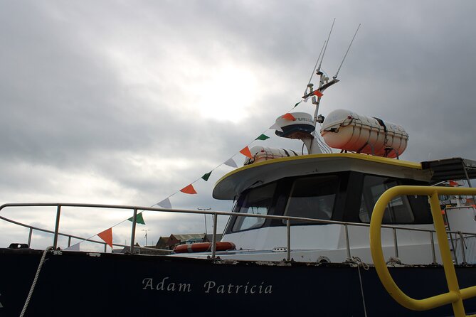 Howth Cliffs and Ireland's Eye Ferry Boat Tour - Live commentary from Captain Mark: how the narration works