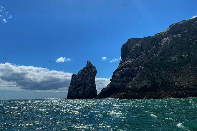 Howth Cliffs and Ireland's Eye Ferry Boat Tour - What to wear on the Puffin: windproof your plans