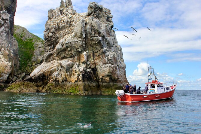 Howth Coastal Boat Tour (Ireland's Eye Ferries 50 mins trip) - Key points to know before you go