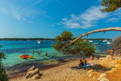 Ile Sainte-Marguerite Ferry & Corniche d'Or Cruise Combo from Cannes - Catching the Ferry at Quai Saint-Pierre: Times, Tickets, and Handy Reality Checks