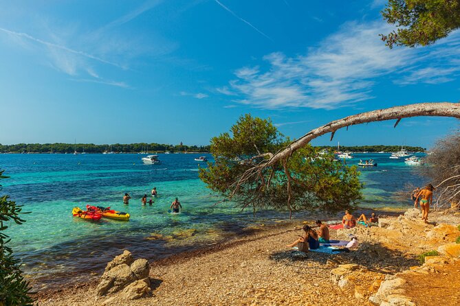 Ile Sainte-Marguerite Ferry & Corniche d'Or Cruise Combo from Cannes - Catching the Ferry at Quai Saint-Pierre: Times, Tickets, and Handy Reality Checks
