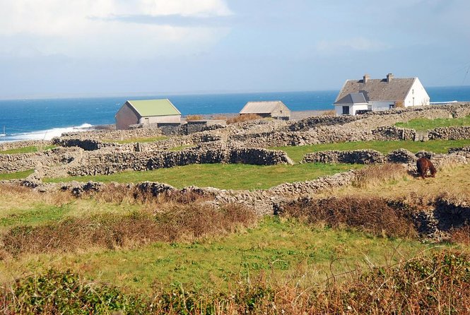 Inis Mór (Aran Islands) Day Trip: Return Ferry from Rossaveel, Galway - Key points before you go