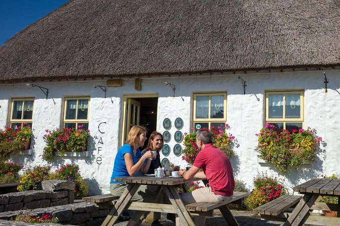 Inis Mór (Aran Islands) Day Trip: Return Ferry from Rossaveel, Galway - On board comfort: bar service, toilets, and a rougher reality