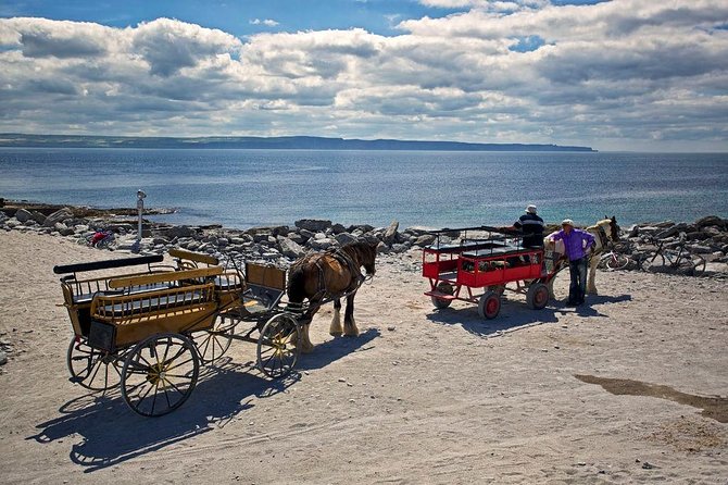 Inis Mór (Aran Islands) Day Trip: Return Ferry from Rossaveel, Galway - Your independent day on Inis Mór: how to spend it well