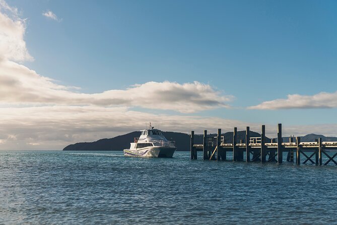 InterIslander Ferry - Picton to Wellington - Wellington arrival: landing near the city, then straight into Te Papa mode