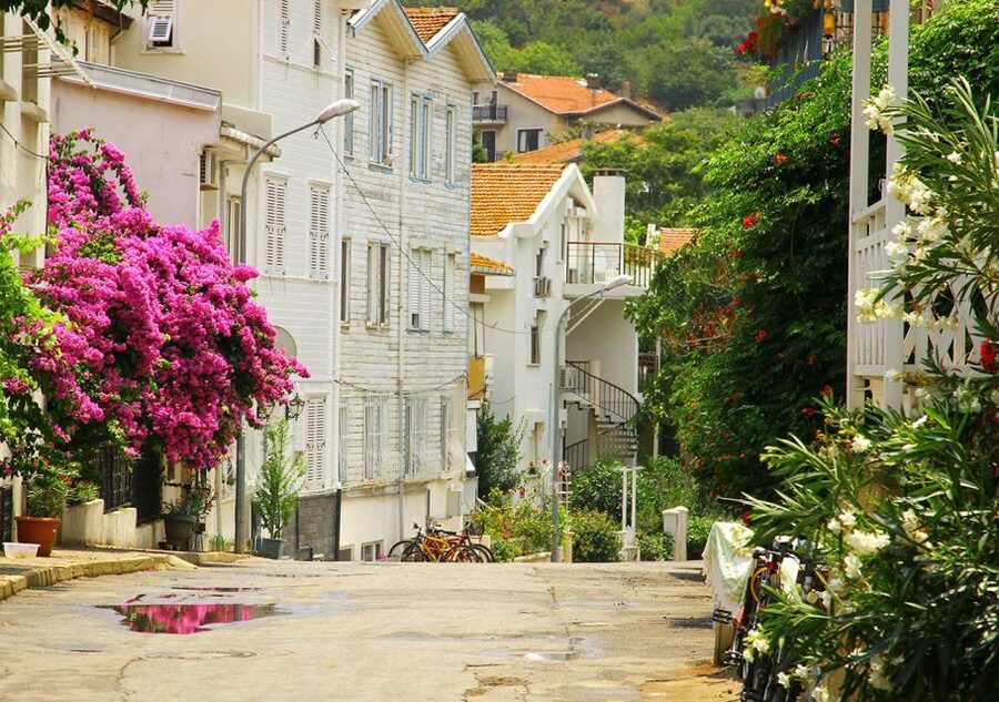 Istanbul: Round-Trip Ferry Tickets to the Princes' Islands - Toilets, Wi‑Fi, and Other Small Frictions That Affect Your Day