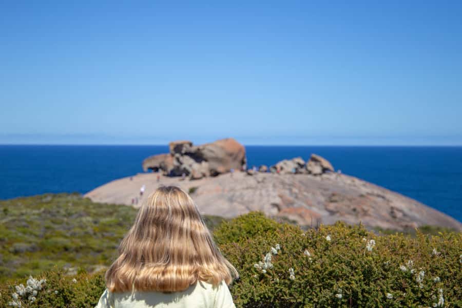 Kangaroo Island Full Day Experience by Ferry Including Lunch - Key things I’d prioritize on this tour