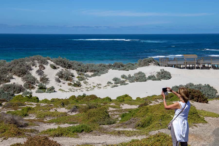 Kangaroo Island Full Day Experience by Ferry Including Lunch - Should you book this Kangaroo Island full-day tour?