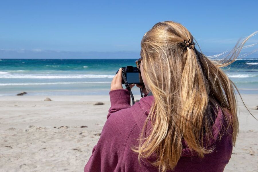 Kangaroo Island Full Day Experience by Ferry Including Lunch - Who this tour suits best
