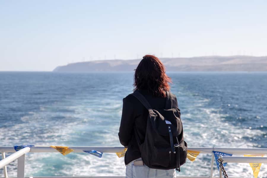 Kangaroo Island Full Day Experience by Ferry Including Lunch - Seal Bay Conservation Park: the sea lion beach walk is the star