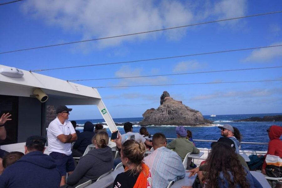 Lanzarote: Roundtrip Ferry Transfer to La Graciosa - What You Actually Pay For: Value Breakdown of the $33 Ticket