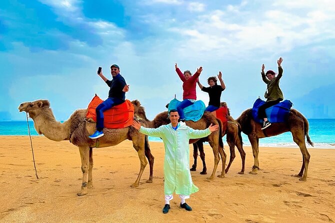 Luxury day in Tangier from Tarifa including ferry & camel ride …. - Key things I’d prioritize on this Tangier day
