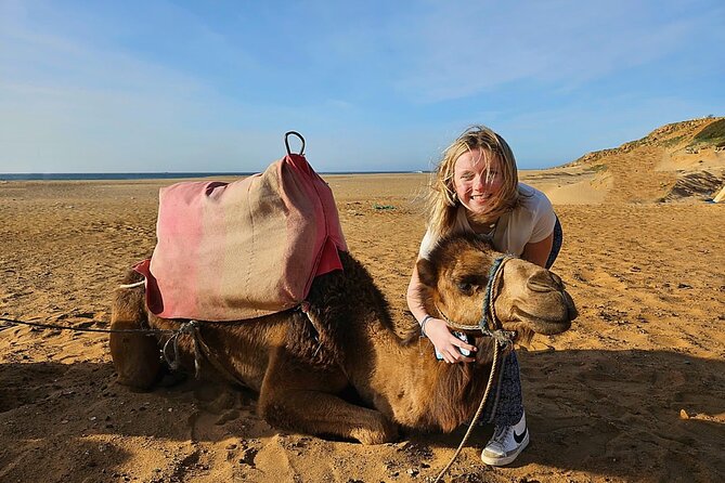 Luxury Malaga to Tangier Day Trip: Transfer, ferry, camel & Souks - Luxury Malaga to Tangier: the ferry-and-car plan that actually works