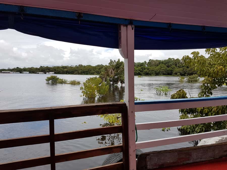 Manaus to Santarém: 36-Hour Ferry on the Amazon - Pickup in Manaus and Getting On Board