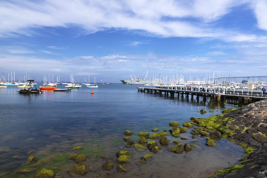 Melbourne: City and Williamstown Ferry Cruise - Who this cruise fits best (and who should skip it)