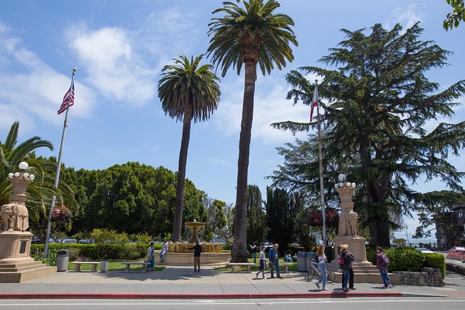 Muir Woods and Sausalito (Return by Bus or Ferry) - The Morning or Afternoon Rhythm: Departure Times That Matter