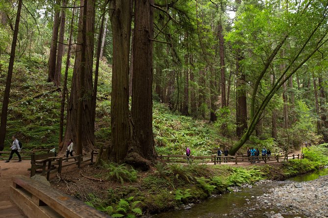Muir Woods and Sausalito (Return by Bus or Ferry) - Golden Gate North Vista Point: A Quick Stop With Big Payoff