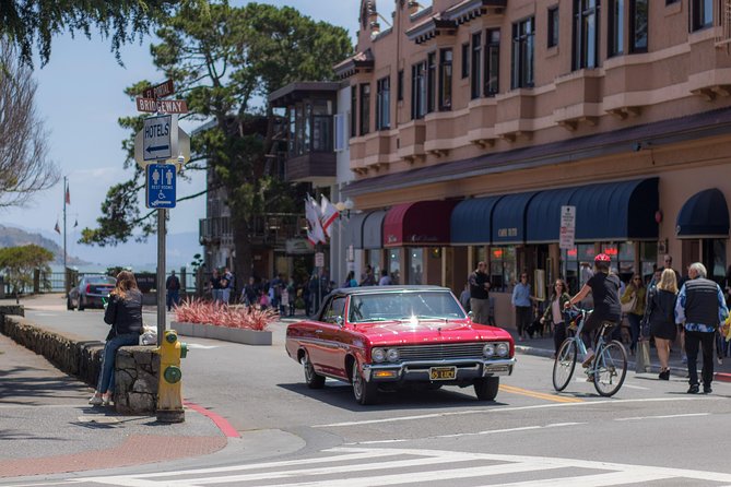 Muir Woods and Sausalito (Return by Bus or Ferry) - Sausalito in One Hour: Shops, Cafés, and Art Browsing