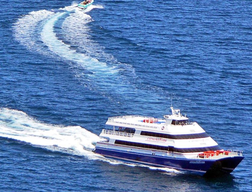 Newport Beach: Ferry Ticket to/from Catalina Island - Booking Your Ferry: One-Way Tickets, Round-Trips, and Time Choices