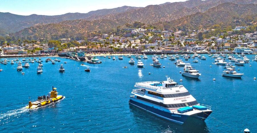 Newport Beach: Ferry Ticket to/from Catalina Island - Avalon Day Prep: How to Use the Crossing Time