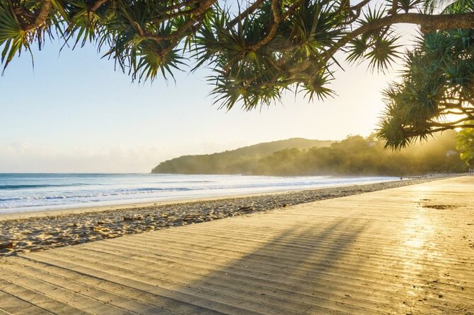 Noosa Sightseeing Adventure - Ferry Cruise, Ride and Kayak - Lake Weyba kayak: calm waters, mangroves, and stingray sanctuary time