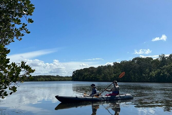 Noosa Sightseeing Adventure - Ferry Cruise, Ride and Kayak - Price and value: is $250.32 per person worth it?