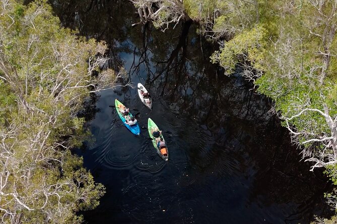 Noosa Sightseeing Adventure - Ferry Cruise, Ride and Kayak - Laguna Lookout: five-mountain views and Everglades orientation