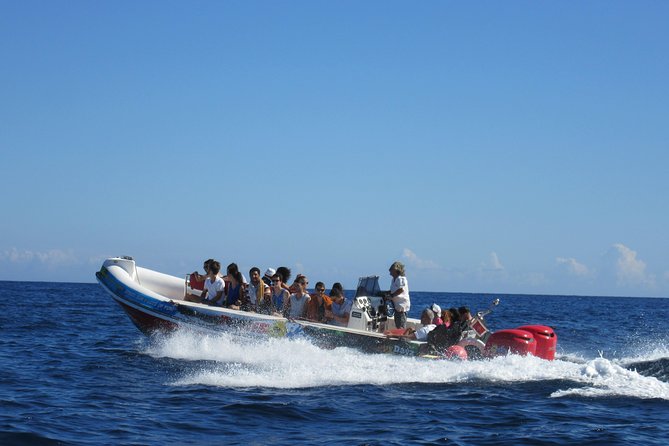 Okikoki Banis - Comino Blue Lagoon Speedboat Trip- Fast Ferry - Key highlights you’ll care about