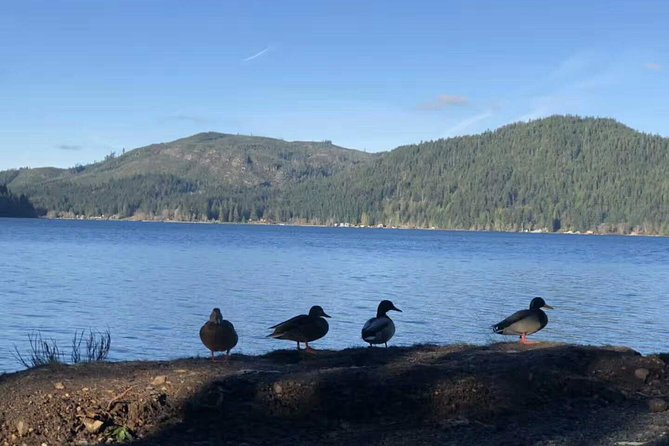 Olympic National Park Small Group Day Tour w/Scenic Ferry 2CanGo - The Drive and the Pace: Enjoy the Ride, Then Do a Little Planning