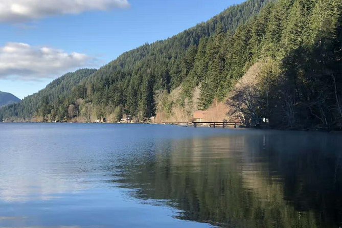 Olympic National Park Small Group Day Tour w/Scenic Ferry 2CanGo - Hurricane Ridge: Panoramas You Can’t Recreate on a Screen