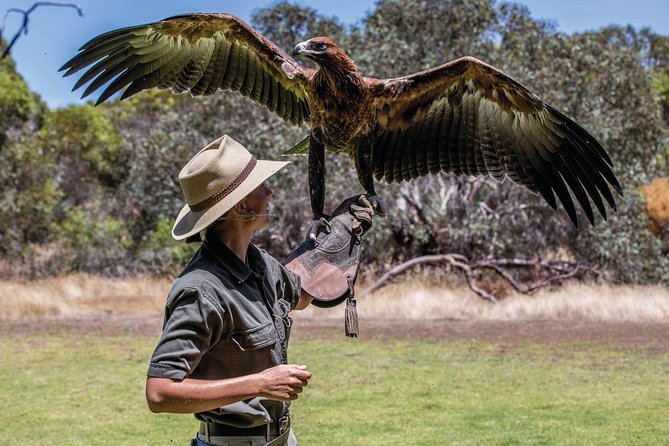 One Day Kangaroo Island Sip & See tour with return ferry transfers from Adelaide - Leaving Adelaide early: the real schedule you’re signing up for