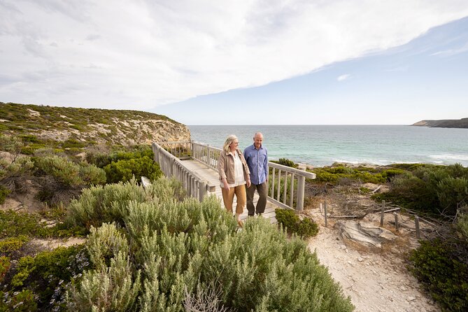 One Day Kangaroo Island Sip & See tour with return ferry transfers from Adelaide - Clifford’s Honey Farm: the working beehive and queen-bee hunt