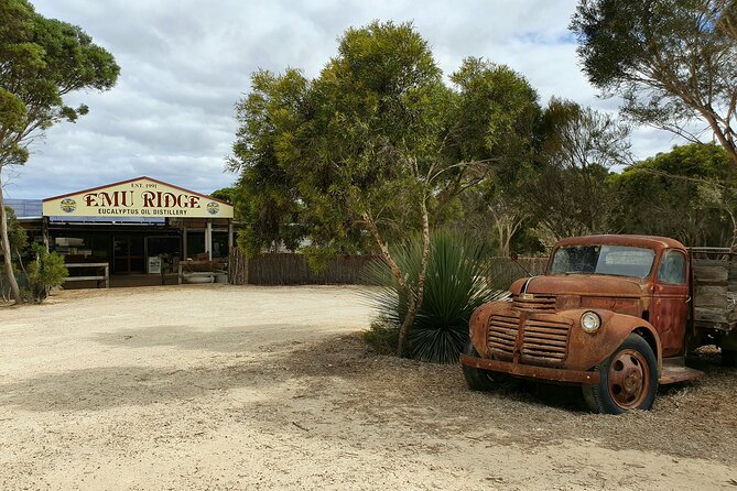 One Day Kangaroo Island Sip & See tour with return ferry transfers from Adelaide - False Cape Wines: the recycled-wood cellar door finale