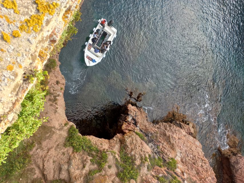 Peniche: Berlengas Island Round-Trip Ferry with Island Stop - Key things to know before you go