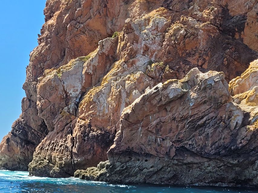 Peniche: Berlengas Island Round-Trip Ferry with Island Stop - Elephant rock and cliff views: the “don’t blink” moments