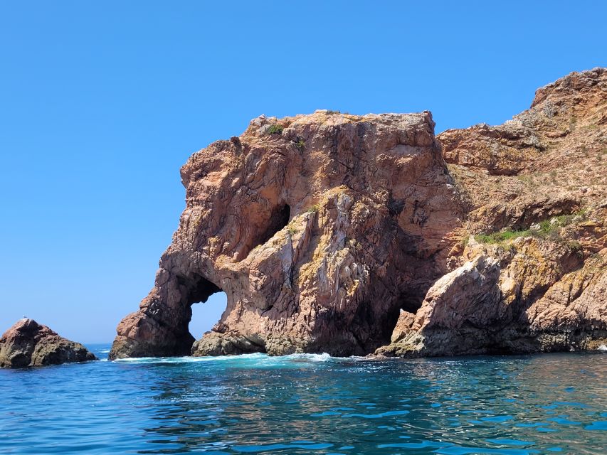 Peniche: Berlengas Island Round-Trip Ferry with Island Stop - Service and timing: what the best parts of the day feel like