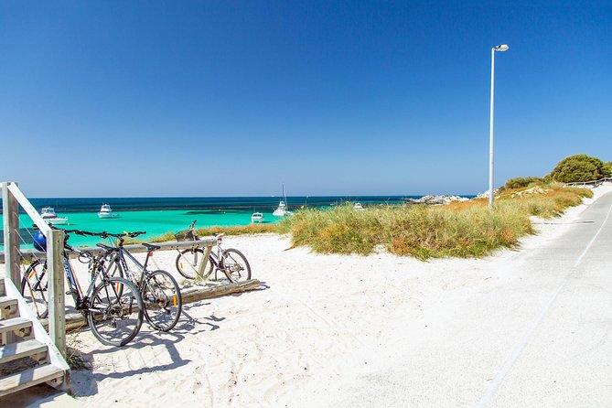 Perth to Rottnest Island Roundtrip Ferry Ticket - Getting back to Perth: the afternoon ferry timing you must plan around