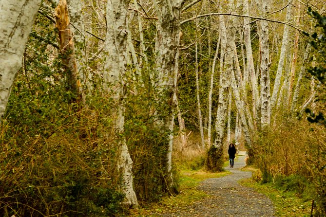 Photography, Hiking & Ferry to Bowen Island - The Photo Hike Start: Killarney Lake Parking and the Real Practice