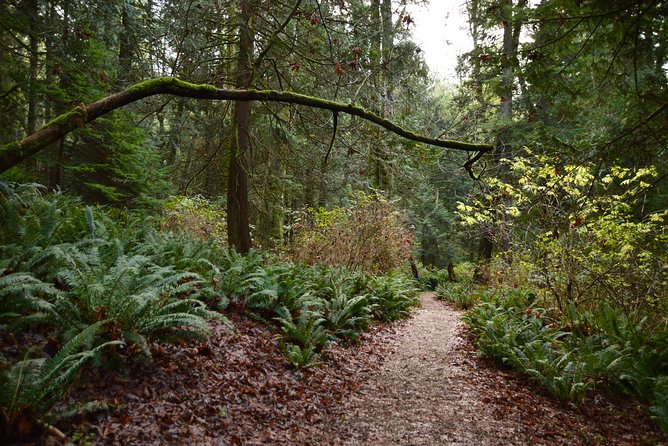 Photography, Hiking & Ferry to Bowen Island - Why the Group Size and Coaching Style Are the Value
