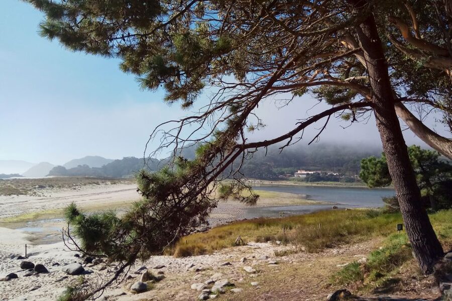 Portonovo: Ferry to Cies Islands & Rodas Beach - Why the Xunta Permission Matters (and Why It’s Included)