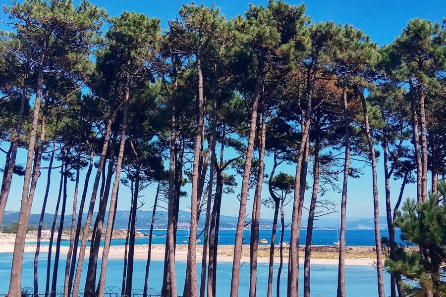Portonovo: Ferry to Cies Islands & Rodas Beach - When You’ll Be Back: Return Times by Season