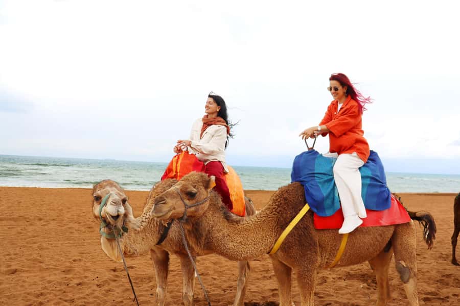 Price: Day trip to Tangier by ferry with lunch and tour guide - Getting Back to Tarifa: How Delays and Lines Can Change the Feeling of the Day
