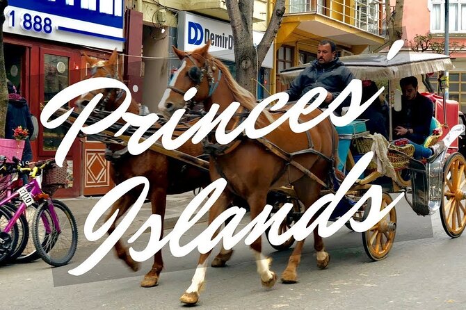 Princess Island Tour with Lunch & Ferry Ride - Who this tour suits best (and who should think twice)