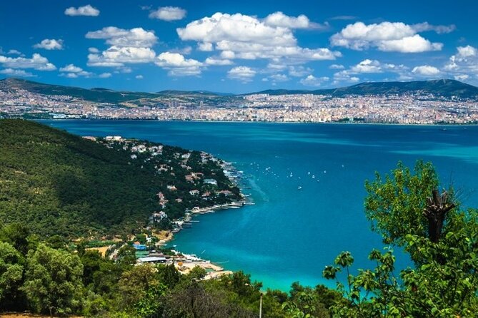 Princess Island Tour with Lunch & Ferry Ride - Büyükada arrival: lunch, beach time, and how to use it