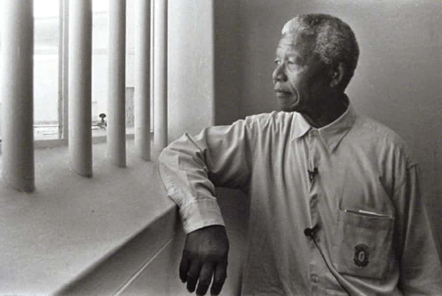 ROBBEN ISLAND MUSEUM TOUR, WITH OPTIONAL LAST MINUTE TICKETS - Robben Island starts at the Clock Tower: meeting point and timing that matters