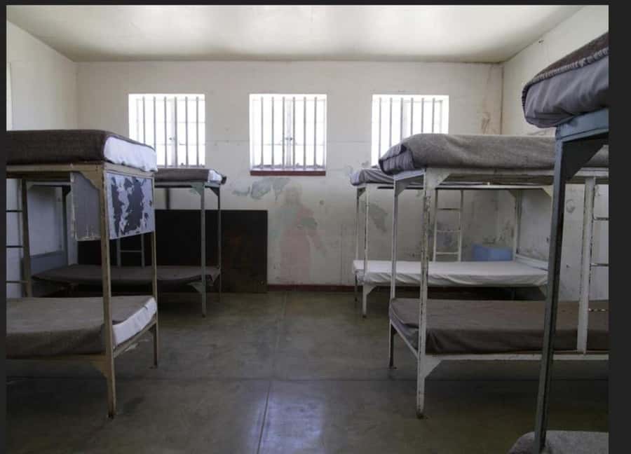 Robben Island Museum Tour with Transfer and Ferry Tickets. - The van and ferry timing: a half-day that moves at a real pace
