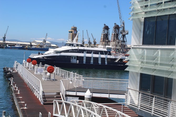 Robben Island Nelson Mandela's Prison Museum + Township Tour incl Ferry Tickets - Lunch in Cape Town and Your Break From the Museum Tone