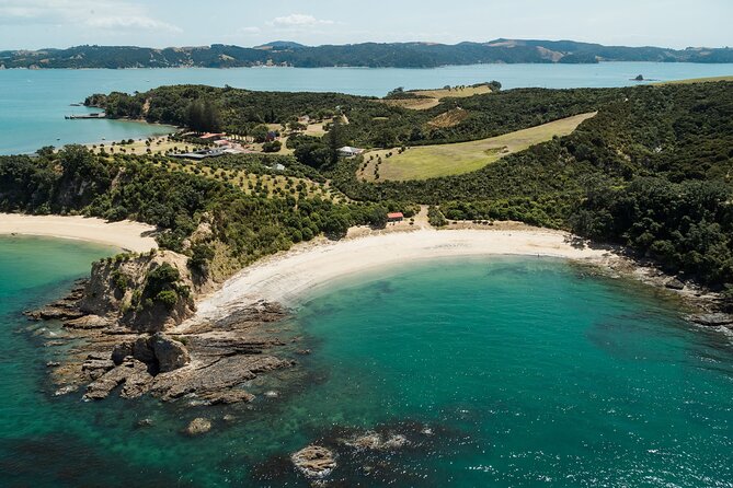 Rotoroa Island Ferry - from Auckland - Key things to know before you go