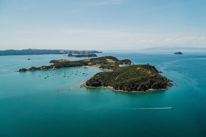 Rotoroa Island Ferry - from Auckland - Auckland to Rotoroa: The Hauraki Gulf cruise part you’ll actually enjoy